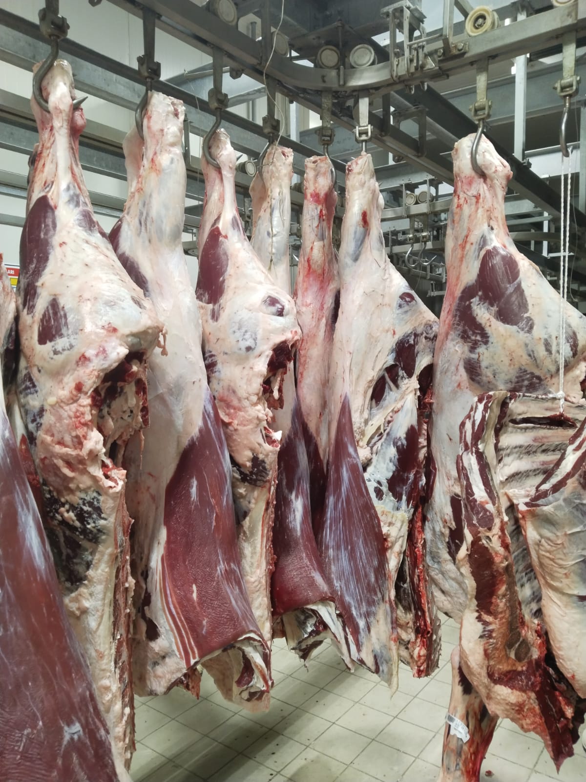 YÜCEL ET KARESİ DE ET KASAP