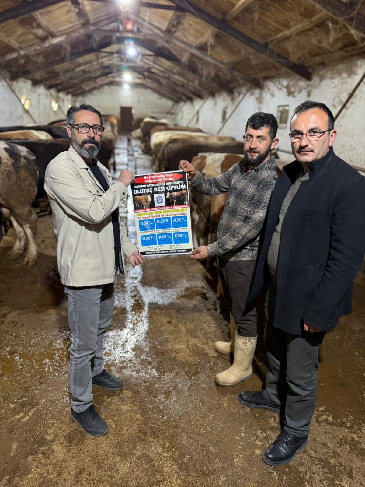 ULUTAŞ HAYVANCILIK 0532 056 14 38 