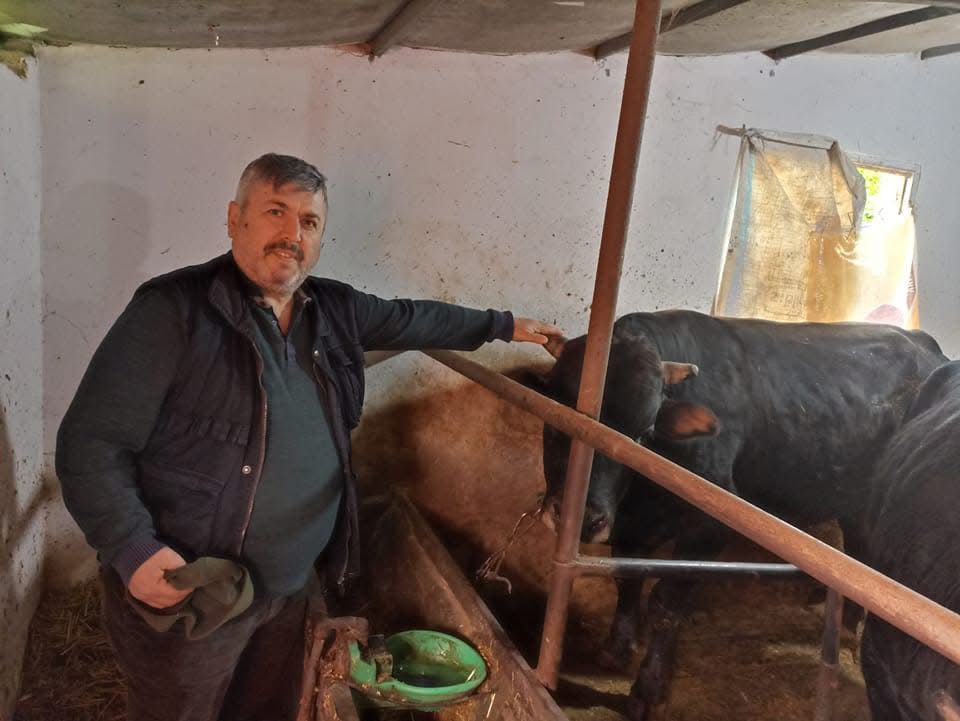 Çelik Hayvancılık Akçakoca da Hayvancılık Besicilik