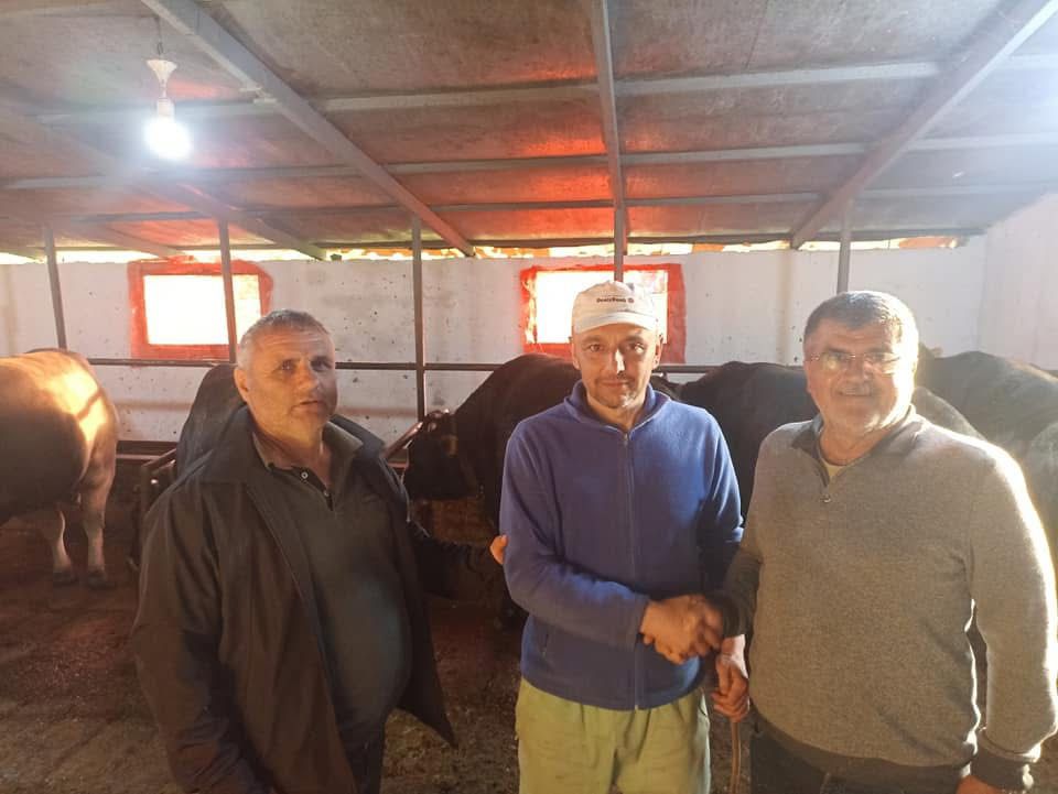 Çelik Hayvancılık Akçakoca da Hayvancılık Besicilik