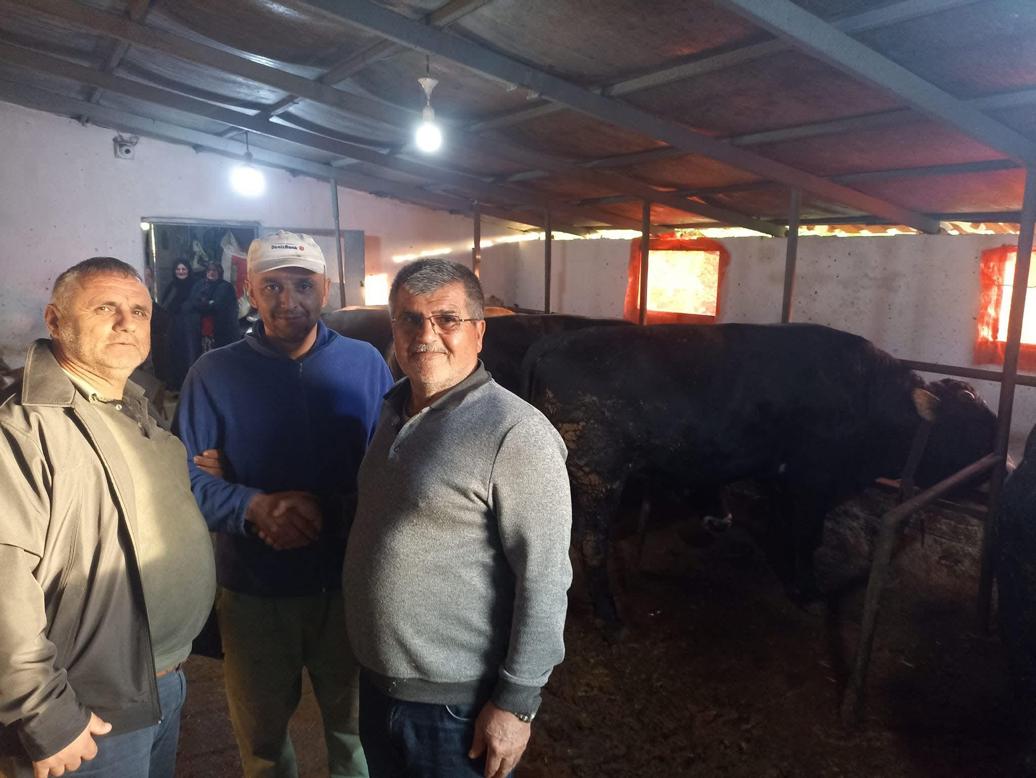 Çelik Hayvancılık Akçakoca da Hayvancılık Besicilik