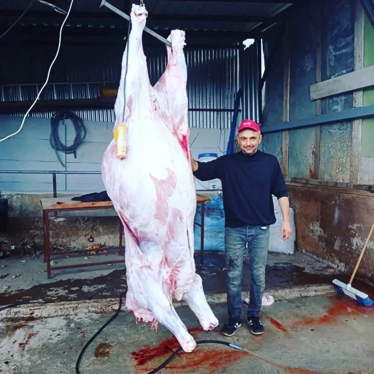 Çelik Hayvancılık Akçakoca da Hayvancılık Besicilik