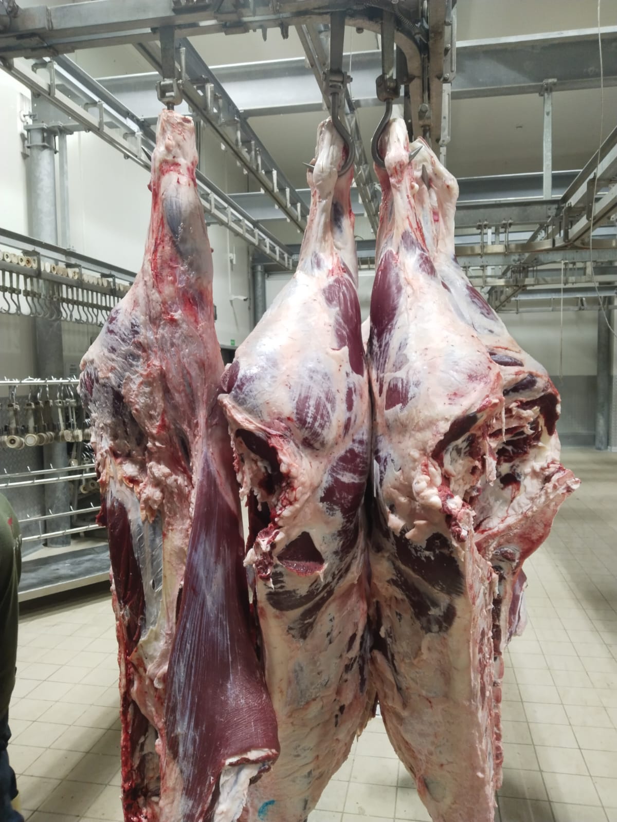 YÜCEL ET KARESİ DE ET KASAP