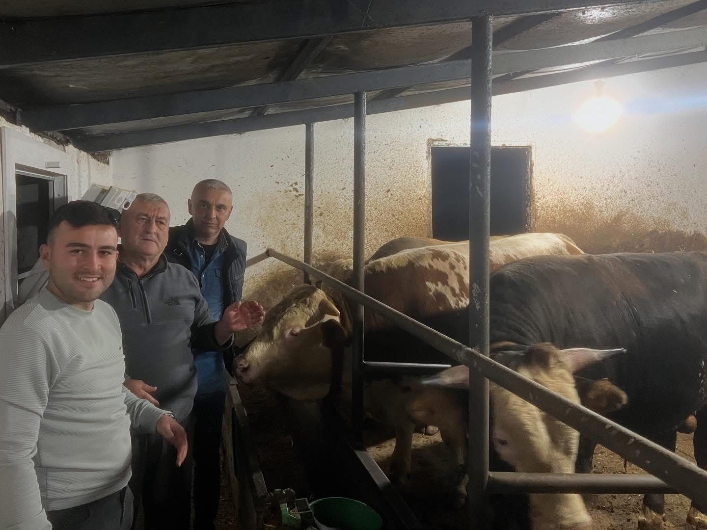 Çelik Hayvancılık Akçakoca da Hayvancılık Besicilik