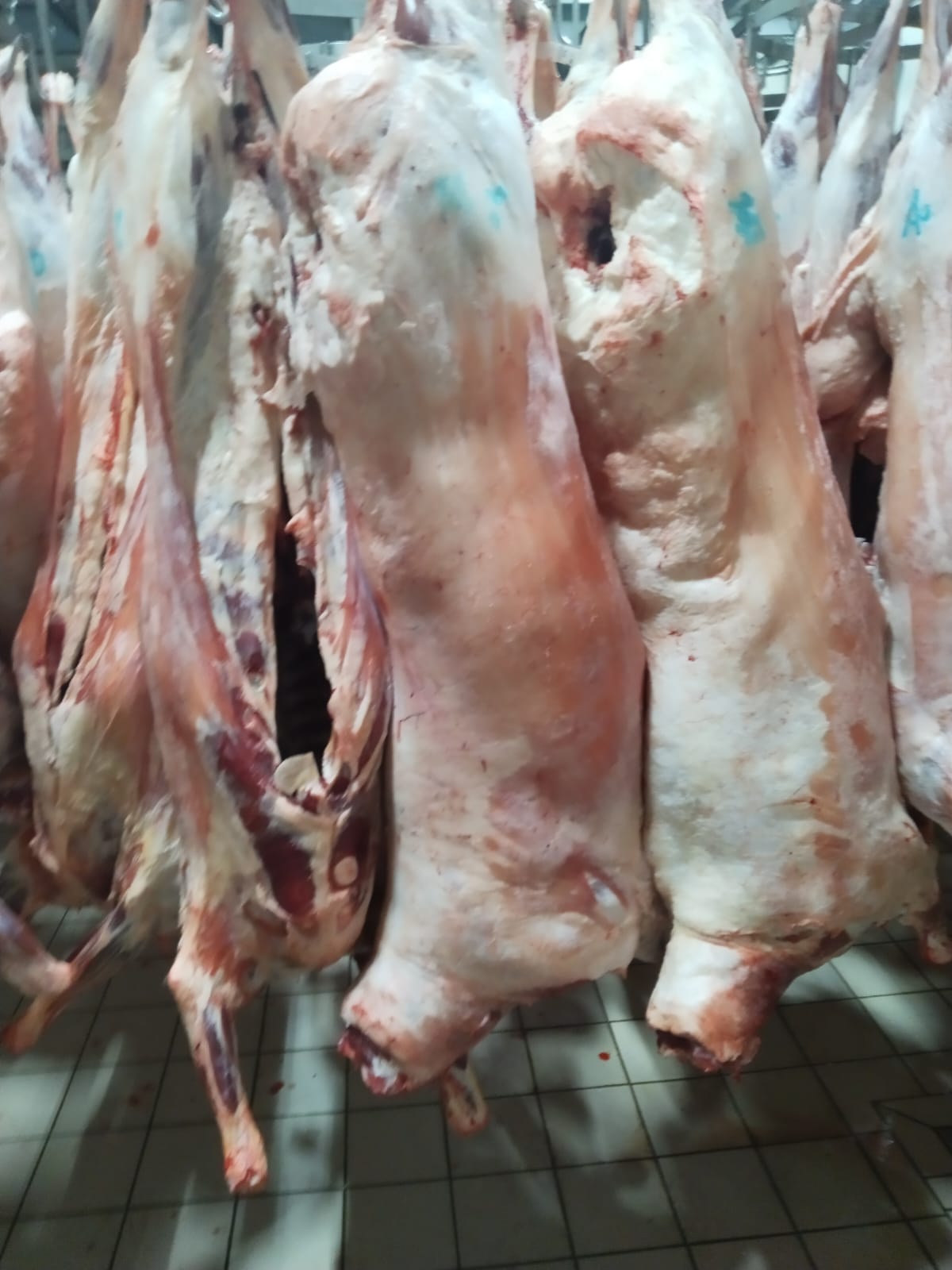 YÜCEL ET KARESİ DE ET KASAP