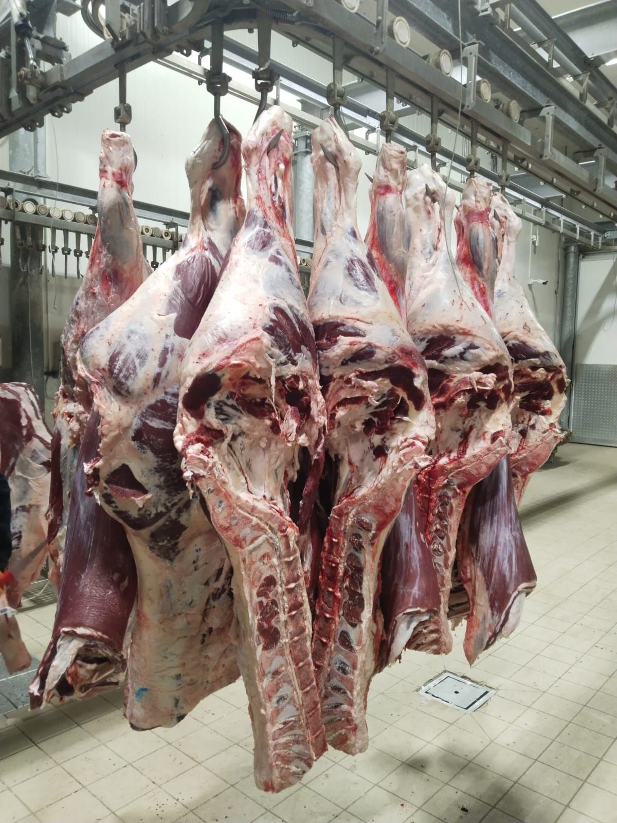 YÜCEL ET KARESİ DE ET KASAP